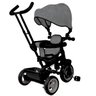 Triciclo 360º Cinza com Empurrador Passeio Divertido Dm Toys - 2