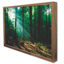 Ver imagem 3 de Quadro Decorativo Caixa Floresta Verde Tacolado Moldura Caixa 3cm Madeira com Vidro 20 X 30cm