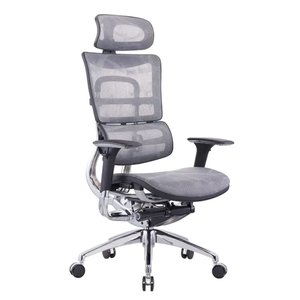 Cadeira Ergonômica Presidente Ergohaus Tecido Mash Estrutura Alumínio Fundido - Branca