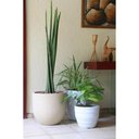 Ver imagem 3 de Vaso Tramontina Laos 28 Cm em Polietileno Bege