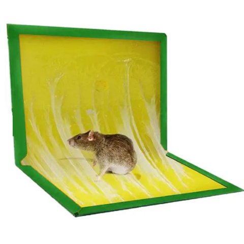 Ratoeira Adesiva Atóxica Pega Captura Rato Barata Tapete Super Cola Armadilha Higienica Sem Cheiro