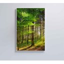 Ver imagem 1 de Quadro Árvore Verde 2 - 40x60 Cm - Adesivo Fotográfico
