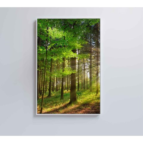 Quadro Árvore Verde 2 - 40x60 Cm - Adesivo Fotográfico