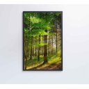 Ver imagem 4 de Quadro Árvore Verde 2 - 40x60 Cm - Adesivo Fotográfico