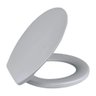 Assento Convencional Cinza Claro Metasul - 1