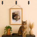 Ver imagem 4 de Cabideiro de Parede Gato Preto Gancho Pendurar Roupas Bolsas Multiuso Luft Masutti