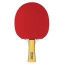 Ver imagem 1 de Raquete Joola Team Master