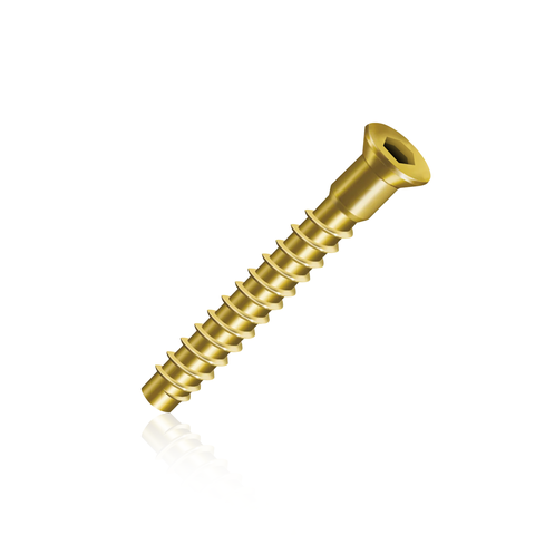Parafuso Escareado Allen 5x50 Ds Rp Bicromatizado
