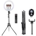 Ver imagem 3 de Ring Light 18" + Tripé 160cm + Adaptador Ball Head