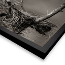 Ver imagem 5 de Quadro 50cm X 50cm Andorinha no Ninho Tropical Artes