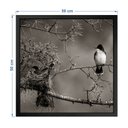 Ver imagem 3 de Quadro 50cm X 50cm Andorinha no Ninho Tropical Artes