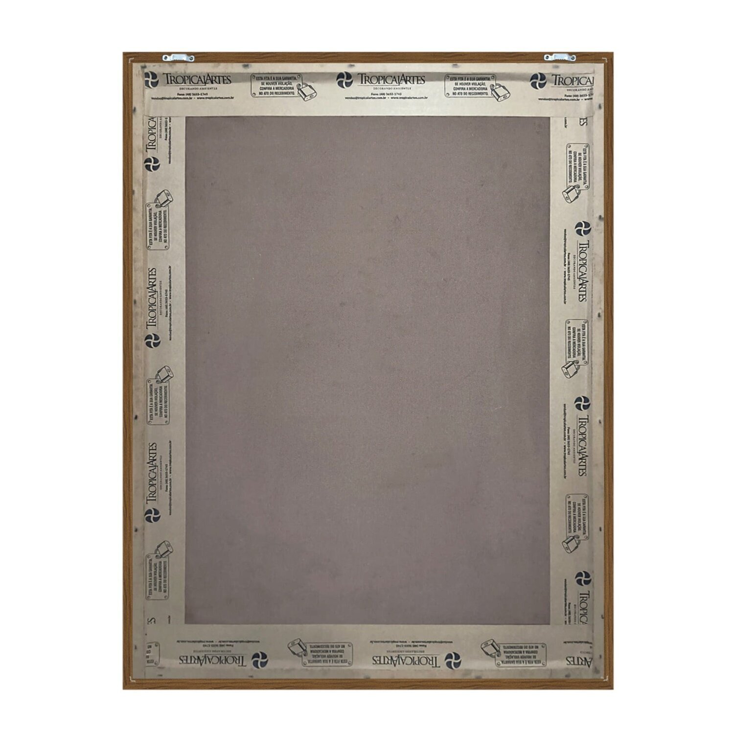 Quadro 60cm X 80cm Papagaio Tropical Artes - 4