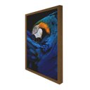 Ver imagem 6 de Quadro 60cm X 80cm Papagaio Tropical Artes