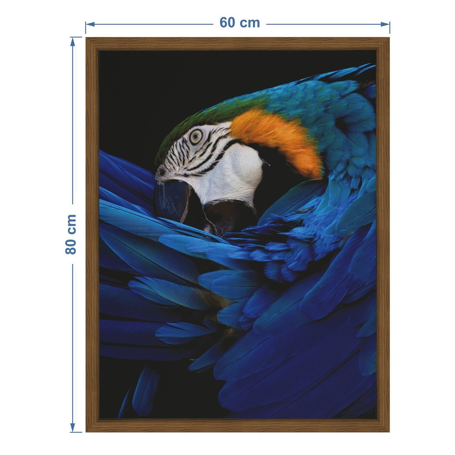 Quadro 60cm X 80cm Papagaio Tropical Artes - 3
