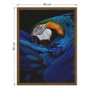 Ver imagem 3 de Quadro 60cm X 80cm Papagaio Tropical Artes