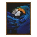 Ver imagem 1 de Quadro 60cm X 80cm Papagaio Tropical Artes