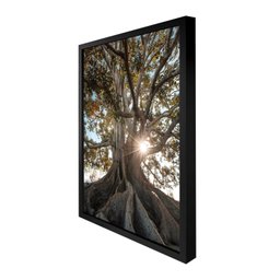 Quadro 60cm X 80cm Raízes da Árvore Tropical Artes - 6