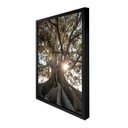 Ver imagem 6 de Quadro 60cm X 80cm Raízes da Árvore Tropical Artes