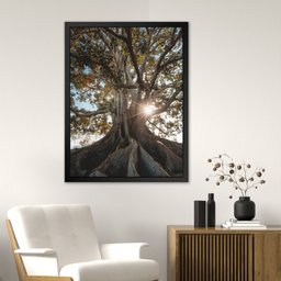 Quadro 60cm X 80cm Raízes da Árvore Tropical Artes - 2