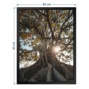 Ver imagem 3 de Quadro 60cm X 80cm Raízes da Árvore Tropical Artes