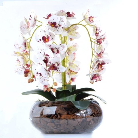 Arranjo 4 Orquídeas Artificiais Tigre em Vaso de Vidro Duda