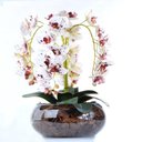 Ver imagem 1 de Arranjo 4 Orquídeas Artificiais Tigre em Vaso de Vidro Duda