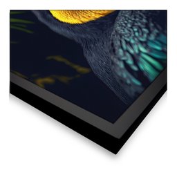 Quadro 60cm X 80cm Animal Tucano Tropical Artes - 5