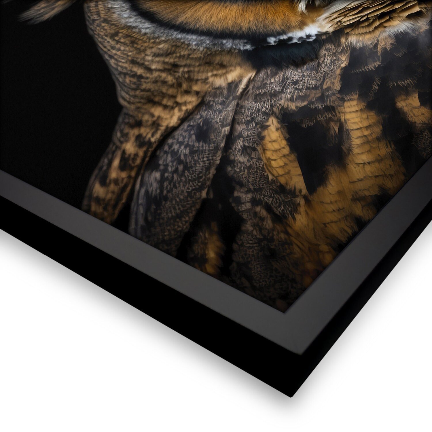 Quadro 60cm X 80cm Animal Coruja Tropical Artes - 5