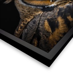 Quadro 60cm X 80cm Animal Coruja Tropical Artes - 5