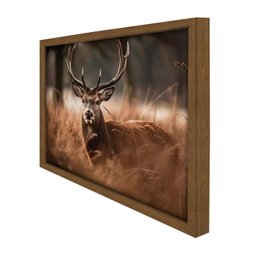 Quadro 60cm X 80cm Animal Cervo Tropical Artes - 6