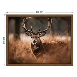 Quadro 60cm X 80cm Animal Cervo Tropical Artes - 3