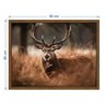 Quadro 60cm X 80cm Animal Cervo Tropical Artes - 3