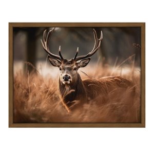 Quadro 60cm X 80cm Animal Cervo Tropical Artes