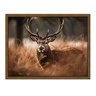 Quadro 60cm X 80cm Animal Cervo Tropical Artes - 1