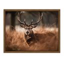 Ver imagem 1 de Quadro 60cm X 80cm Animal Cervo Tropical Artes