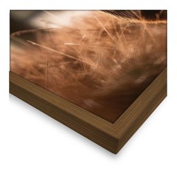 Quadro 60cm X 80cm Animal Cervo Tropical Artes - 5