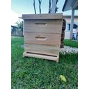 Ver imagem 5 de Caixa de Abelha Padrão Langstroth Eucalipto