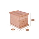 Ver imagem 2 de Caixa de Abelha Padrão Langstroth Eucalipto