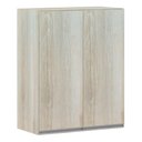 Ver imagem 1 de Armário Para Cozinha 60cm 2 Portas Lis Legno Crema