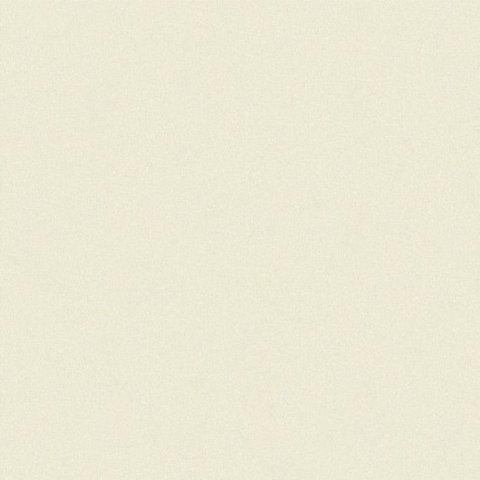 Papel de Parede Muddy Color Texturizado Abstrato Off White
