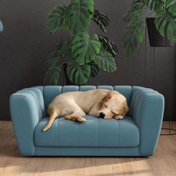Caminha Pet Casinha Mini Poltrona Azul Georgia - 1