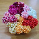 Ver imagem 5 de Kit 4 Porta Guardanapo Mimosa Crisântemo Branco