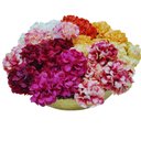 Ver imagem 4 de Kit 4 Porta Guardanapo Mimosa Crisântemo Branco