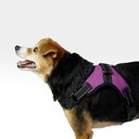 Ver imagem 3 de Peitoral Air Pull Roxo Tam. M Mimo - PP325 PP325