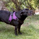 Ver imagem 5 de Peitoral Air Pull Roxo Tam. M Mimo - PP325 PP325