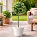 Ver imagem 4 de Buchos Buchinho Verde Jardim Planta Artificial 80cm Kit 2pçs