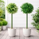 Ver imagem 1 de Buchos Buchinho Verde Jardim Planta Artificial 80cm Kit 2pçs
