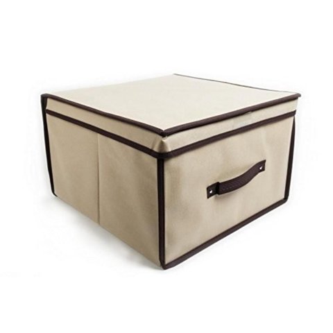 Caixa Grande Organizadora Multiuso Porta Documentos Fotos Roupas Brinquedos Closet Armario