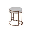 Ver imagem 1 de Puff Decorativo Sarah Sala E Recepção Metal Bronze Veludo
