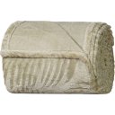 Ver imagem 1 de Manta Queen Brushed New Microfibra Flannel 100% Poliéster 220x230 Folha Seca